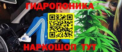 гашик Заволжье