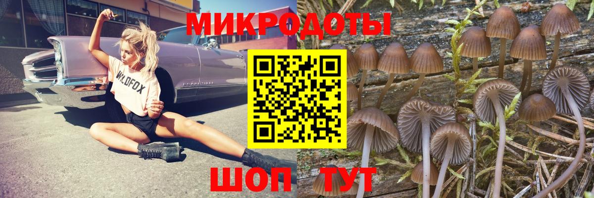 Псилоцибиновые грибы MAGIC MUSHROOMS Кунгур